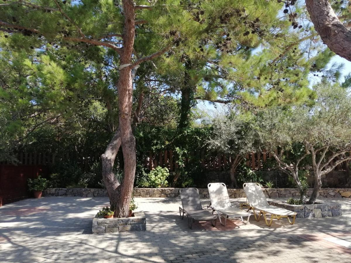 Ferma Solaris Apartments Agia Fotia  Exteriér fotografie