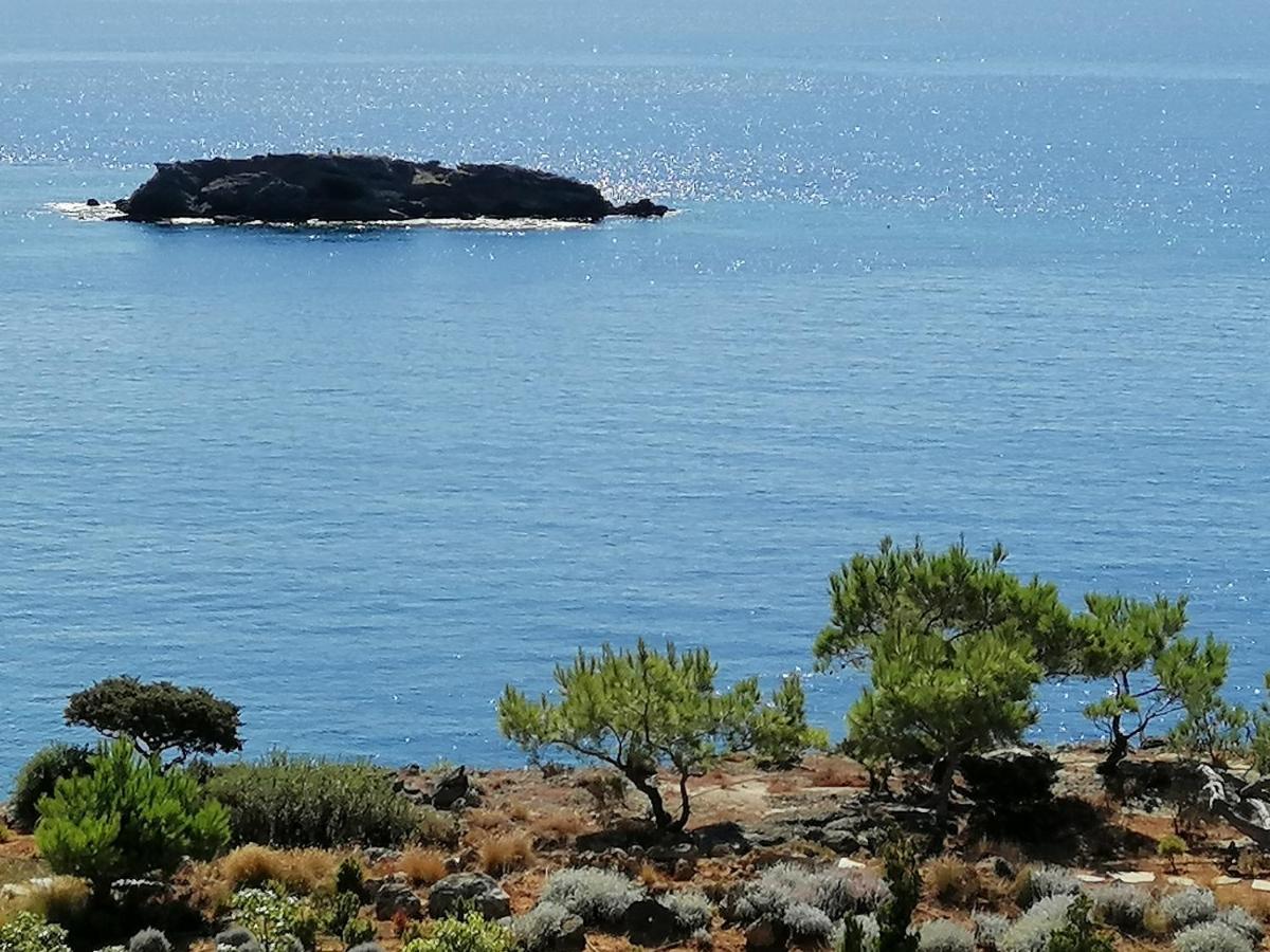 Ferma Solaris Apartments Agia Fotia  Exteriér fotografie